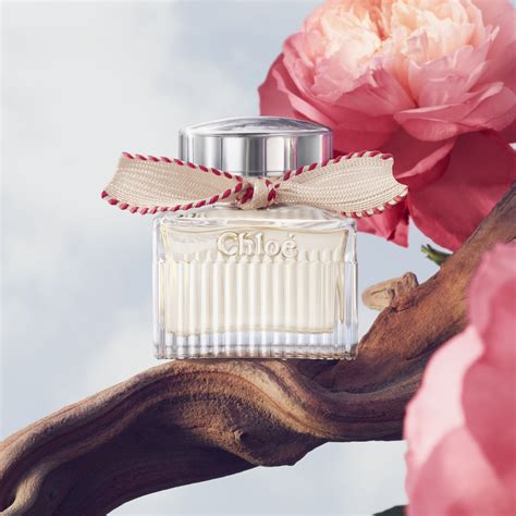 chloe profumo di pulito|Recensione di Chloé Chloé Eau de Parfum da donna .